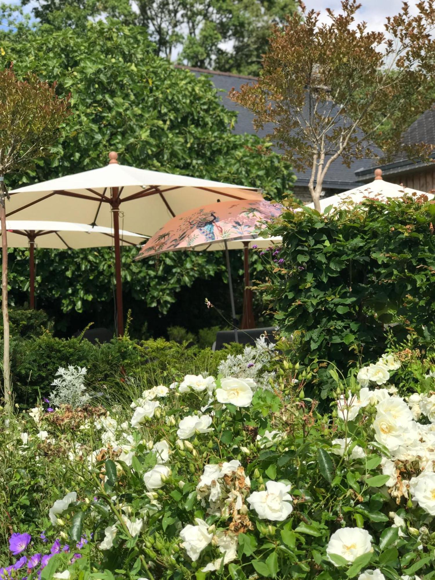 Manoir Saint-Andre,B&B De Charme Theix Luaran gambar